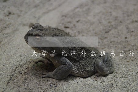 大学不允许外出租房违法吗 大学不允许外出租房违法吗