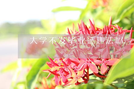 大学不发毕业证违法吗 大学不发毕业证违法吗