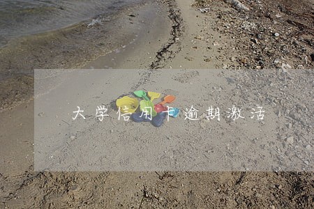 大学信用卡逾期激活