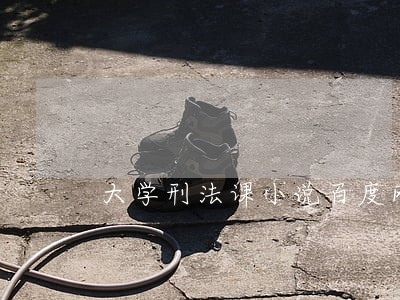 大学刑法课小说百度网盘 大学刑法课小说百度网盘