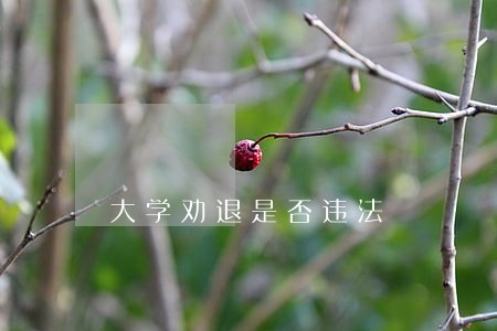 大学劝退是否违法 大学劝退是否违法