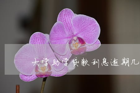 大学助学贷款利息逾期几天 大学助学贷款利息逾期几天