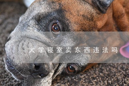 大学寝室卖东西违法吗 大学寝室卖东西违法吗