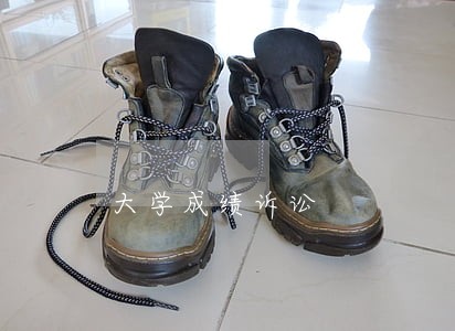 大学成绩诉讼 大学成绩诉讼