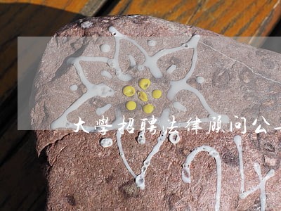 大学招聘法律顾问公告