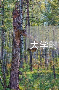大学时助学贷款逾期 大学时助学贷款逾期