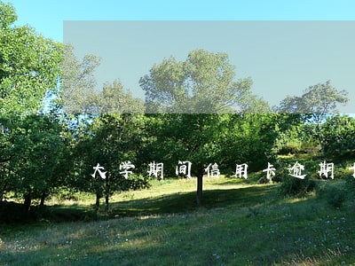 大学期间信用卡逾期十年之后 大学期间信用卡逾期十年之后