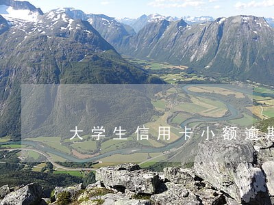 大学生信用卡小额逾期 大学生信用卡小额逾期