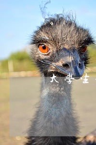 大学生信用卡逾期太多 大学生信用卡逾期太多