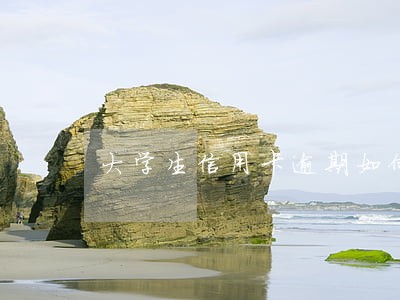 大学生信用卡逾期如何处理 大学生信用卡逾期如何处理
