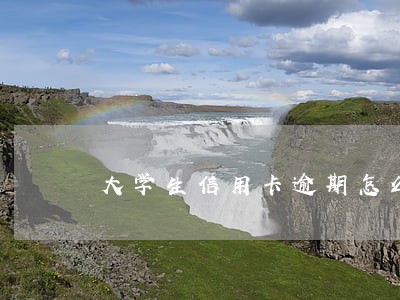 大学生信用卡逾期怎么办 大学生信用卡逾期怎么办