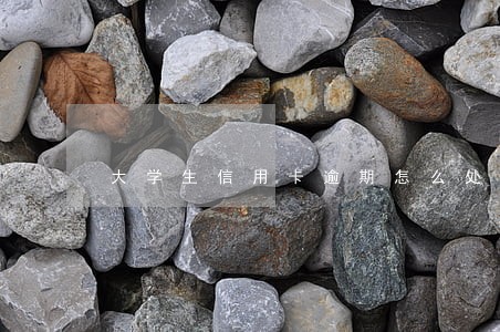 大学生信用卡逾期怎么处理