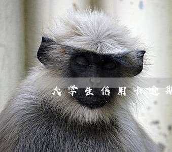 大学生信用卡逾期数据 大学生信用卡逾期数据