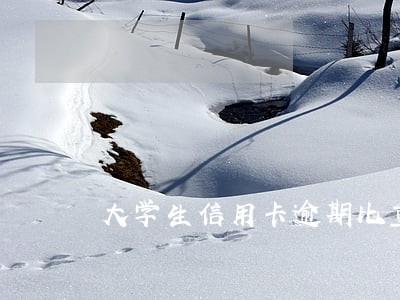 大学生信用卡逾期比重 大学生信用卡逾期比重