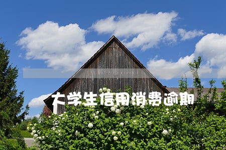 大学生信用消费逾期 大学生信用消费逾期