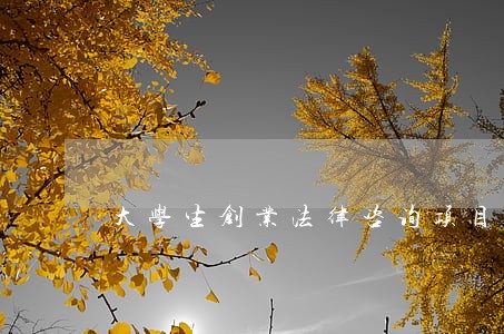 大学生创业法律咨询项目