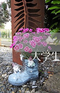 大学生创业贷款逾期取消贴息 大学生创业贷款逾期取消贴息