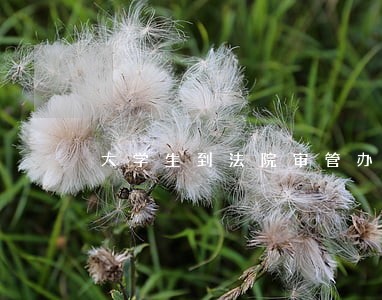 大学生到法院审管办好不好 大学生到法院审管办好不好