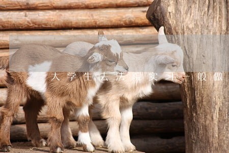 大学生去法院实习一般做什么工作 大学生去法院实习一般做什么工作