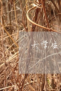 大学生如何界定违法 大学生如何界定违法