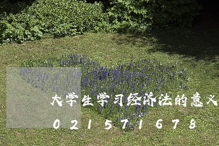 大学生学习经济法的意义和作用/2023021571678 大学生学习经济法的意义和作用/2023021571678