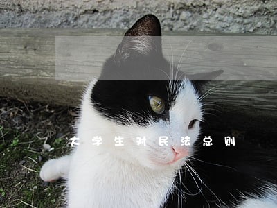 大学生对民法总则 大学生对民法总则