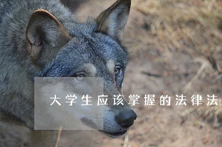 大学生应该掌握的法律法规有那哪些 大学生应该掌握的法律法规有那哪些