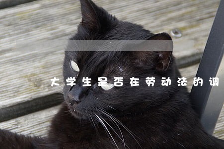 大学生是否在劳动法的调整范围 大学生是否在劳动法的调整范围