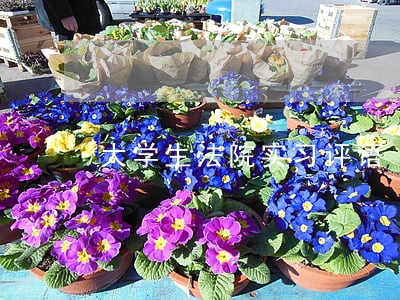 大学生法院实习评语 大学生法院实习评语