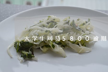 大学生网贷5800逾期 大学生网贷5800逾期