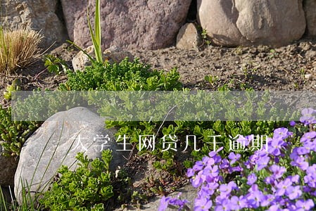 大学生网贷几千逾期 大学生网贷几千逾期