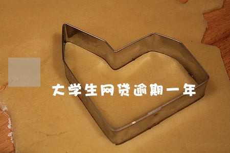 大学生网贷逾期一年 大学生网贷逾期一年