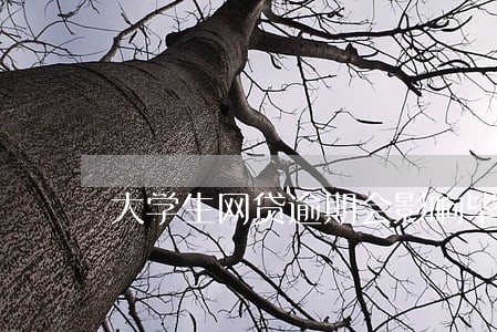 大学生网贷逾期会影响毕业吗 大学生网贷逾期会影响毕业吗