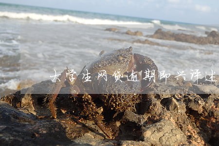 大学生网贷逾期即兴评述 大学生网贷逾期即兴评述