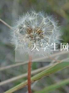 大学生网贷逾期名单 大学生网贷逾期名单
