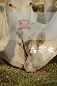 大学生网贷逾期家长该怎么办 大学生网贷逾期家长该怎么办