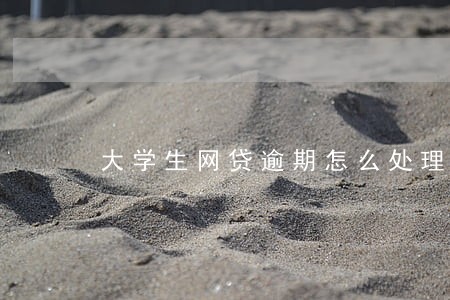 大学生网贷逾期怎么处理 大学生网贷逾期怎么处理