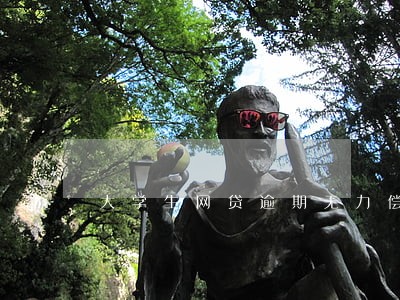 大学生网贷逾期无力偿还 大学生网贷逾期无力偿还