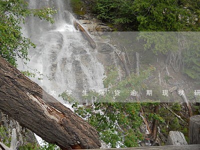 大学生网贷逾期现状研究论文 大学生网贷逾期现状研究论文