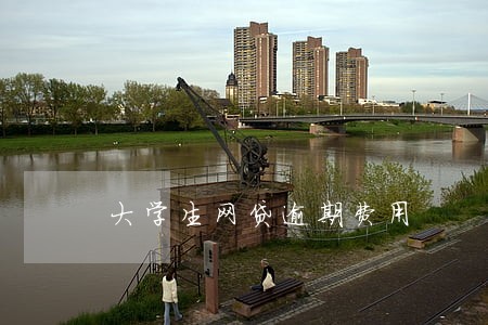 大学生网贷逾期费用 大学生网贷逾期费用