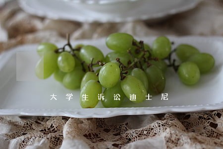 大学生诉讼迪士尼 大学生诉讼迪士尼
