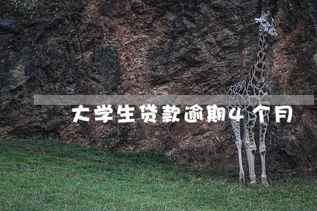 大学生贷款逾期4个月 大学生贷款逾期4个月