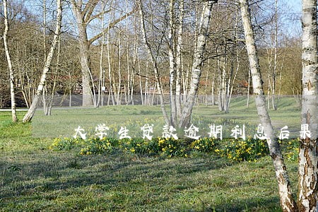 大学生贷款逾期利息后果是 大学生贷款逾期利息后果是