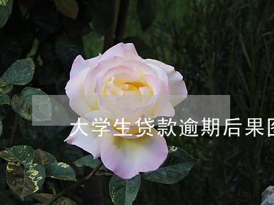 大学生贷款逾期后果图 大学生贷款逾期后果图