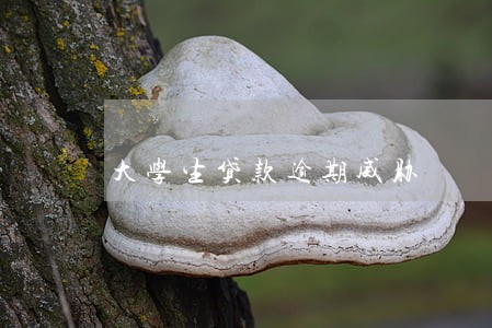 大学生贷款逾期威胁
