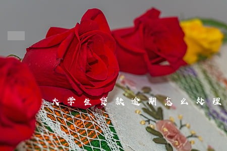 大学生贷款逾期怎么处理 大学生贷款逾期怎么处理