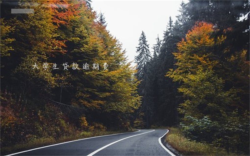 大学生贷款逾期费