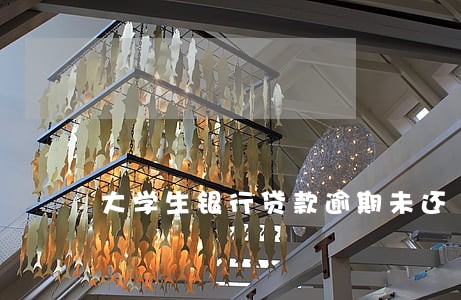 大学生银行贷款逾期未还 大学生银行贷款逾期未还
