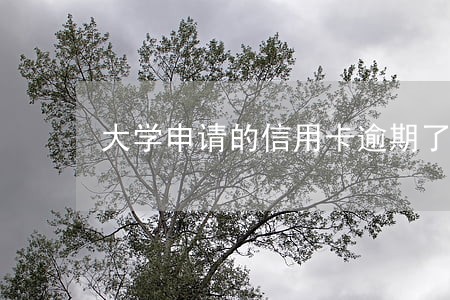 大学申请的信用卡逾期了 大学申请的信用卡逾期了