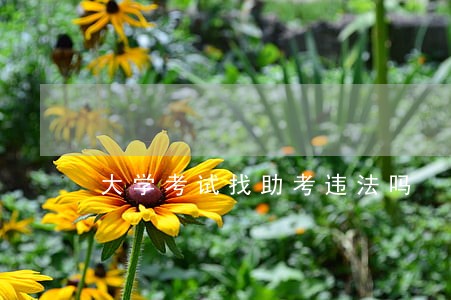 大学考试找助考违法吗 大学考试找助考违法吗